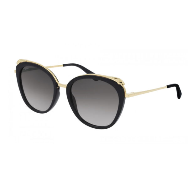 Optika 1 Cartier CT0150S 001