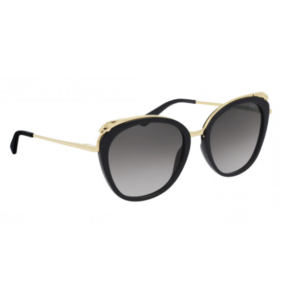 Optika 1 Cartier CT0150S 001a