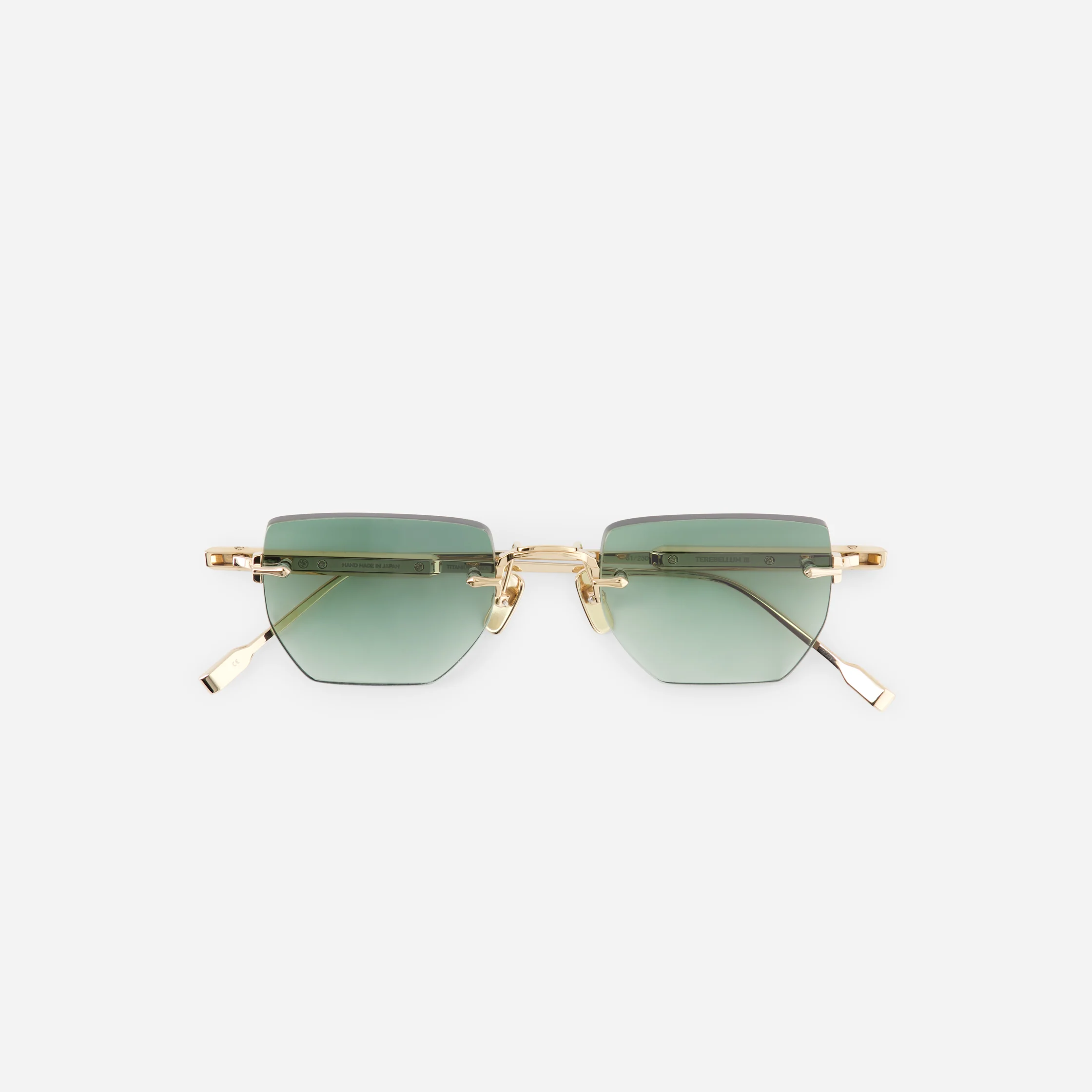 Optika 1 Syze Dielli TEREBELLUM III COLOR S802 top tiff 1