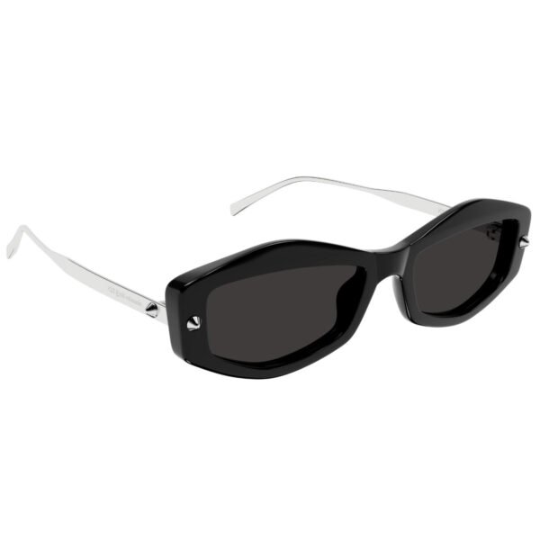 AM0482S-001