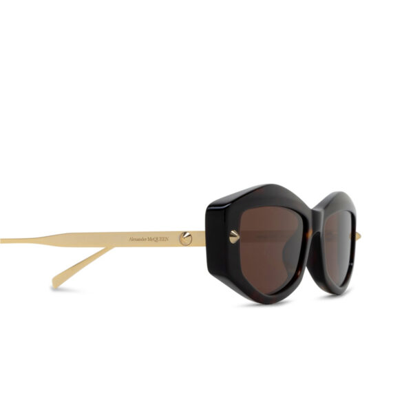 AM0482S-002 - Image 3