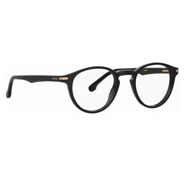 CARRERA310807