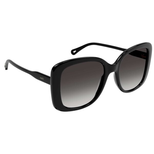 CH0125S-001