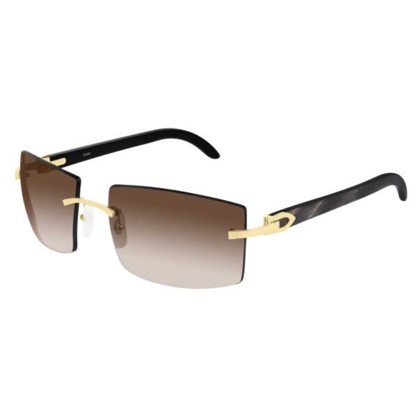 CT0021RS-001