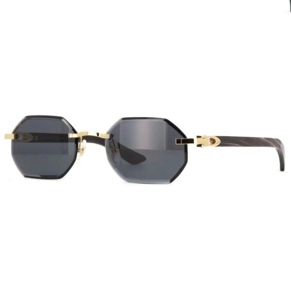 CT0439S-001