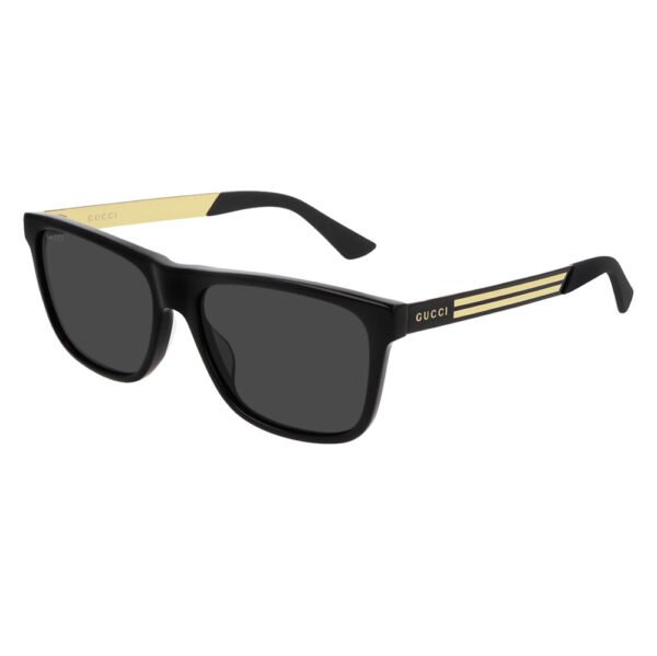 GG0687S-001