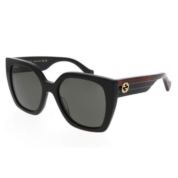 GG1300S-001