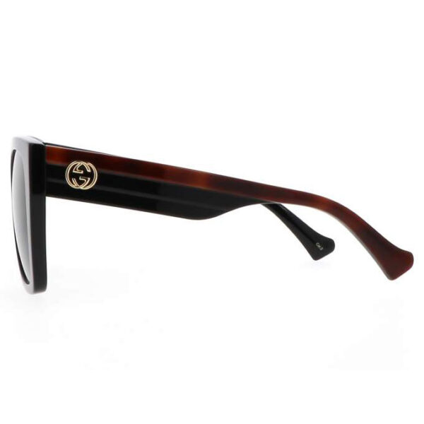 GG1300S-001 - Image 3