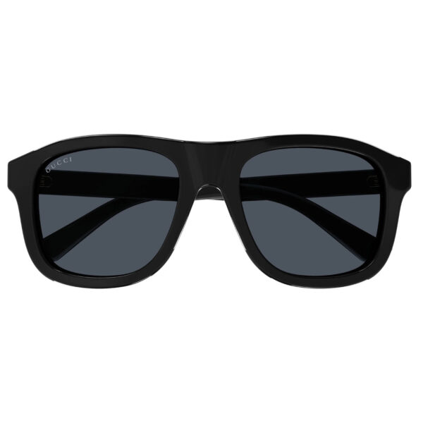 GG1316S-001