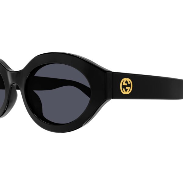 GG1579S-001 - Image 3