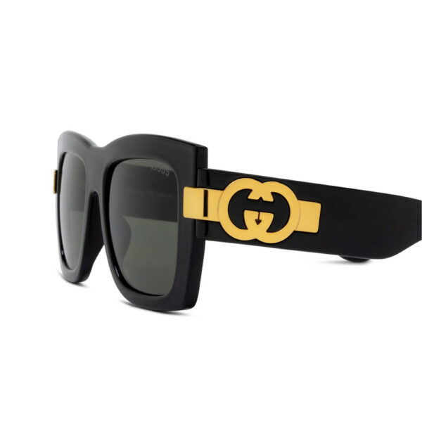 GG1688S-001 - Image 3