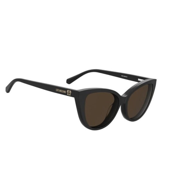 MOL066/CS80770