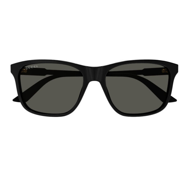GG1819S-001 - Image 2