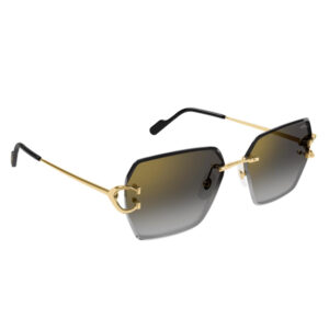 CT0466S-001
