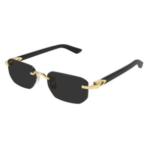 Black sunglasses with a gold metal frame and black temple arms on a white background.