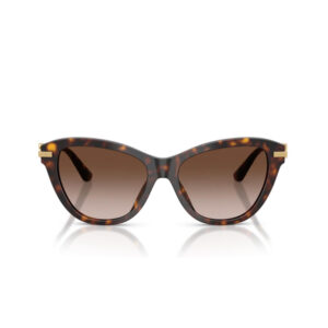 Tortoiseshell sunglasses with brown gradient lenses and gold accents at the hinges on a white background.