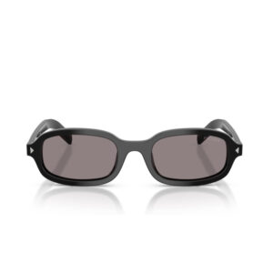Front view of black-framed sunglasses with gray lenses.