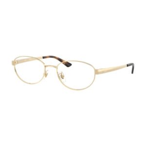 Gold metal eyeglasses with oval lenses and tortoiseshell temple tips set against a white background.