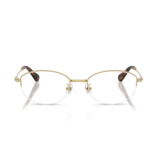 Gold metal-framed eyeglasses with clear lenses and brown acetate temple tips, viewed head-on.