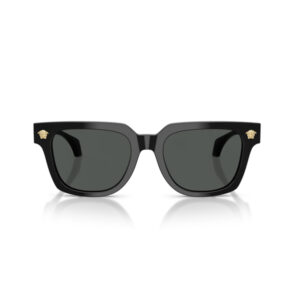 Black square-frame sunglasses with dark lenses and gold crest emblems on the hinges at the temples