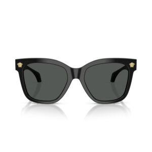 Black oversized sunglasses with dark lenses and small gold crest on each temple.
