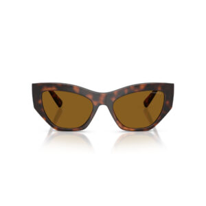 Front view of tortoiseshell sunglasses with brown lenses on a white background.