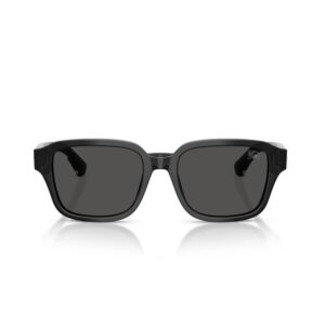 Pair of black-framed sunglasses with dark lenses, front view on a white background