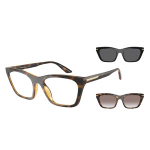 Tortoiseshell oversized eyeglasses with two smaller tortoiseshell sunglasses and a black sunglasses pair.