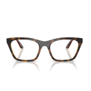 Tortoiseshell rectangular eyeglasses facing forward