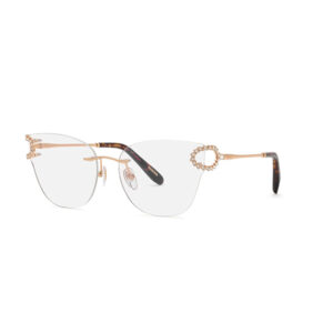 Gold-tone shield sunglasses with oversized clear lenses and ornate circular accents at the temple ends.