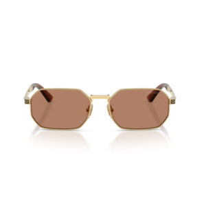 Gold-tone framed sunglasses with brown octagonal lenses and Versace branding on the temples; stylish, luxury eyewear.